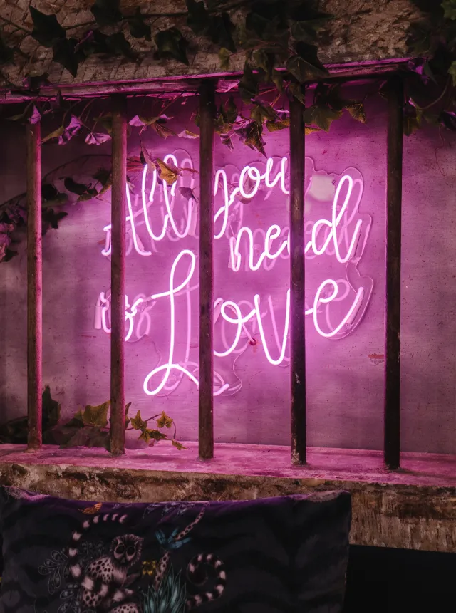 Photo artistique d'un néon où il est marqué : All you need is love