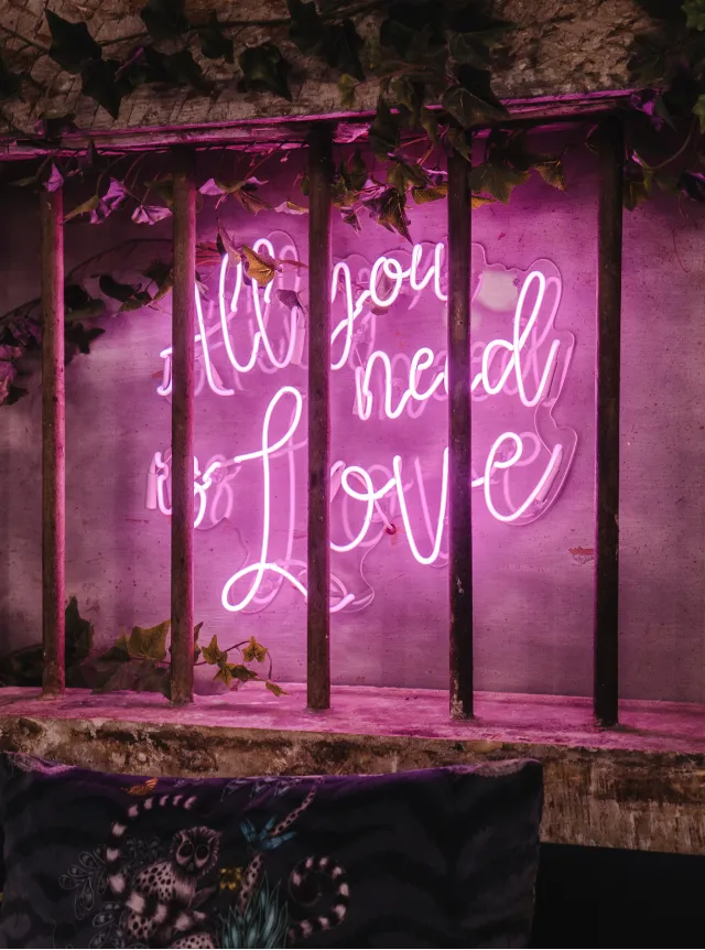 Photo artistique d'un neon ou il est marque : All you need is love